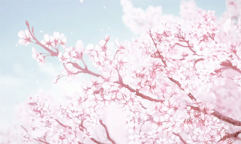 /tore